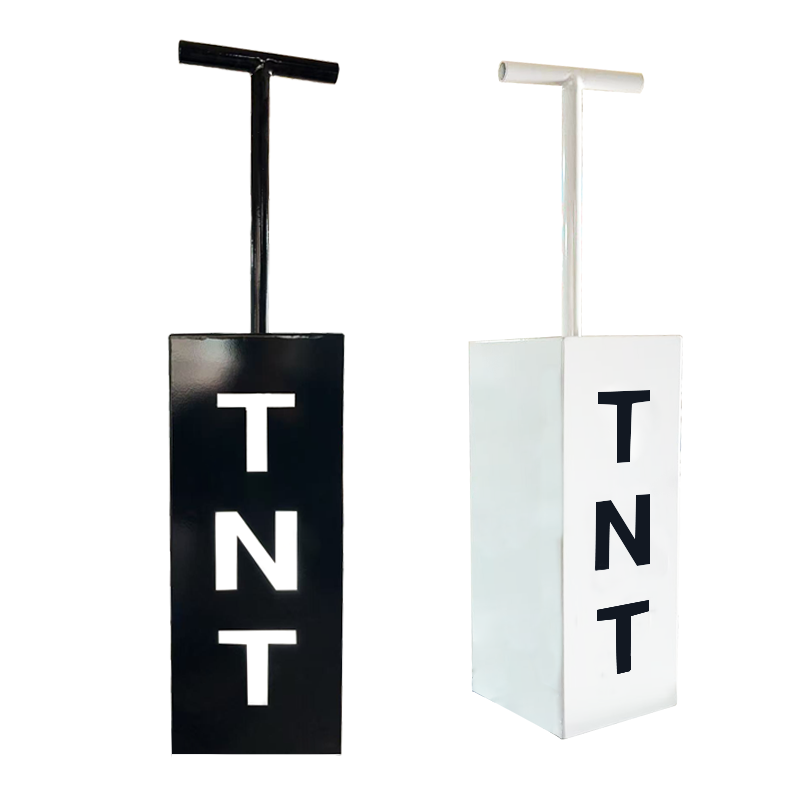 TNT Control Cannon Gender Reve – Confetti Cannon Tube Bewertung und Preis